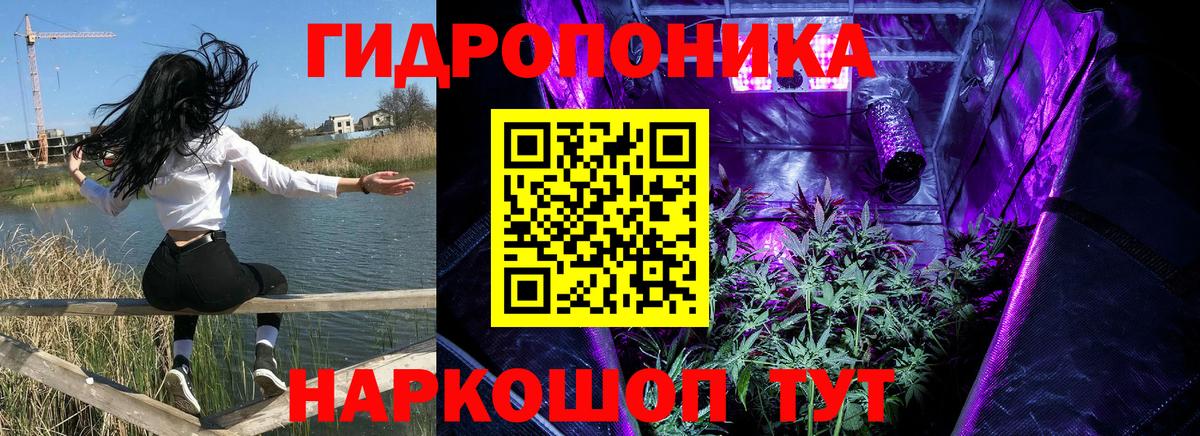 Бошки Шишки марихуана Десногорск